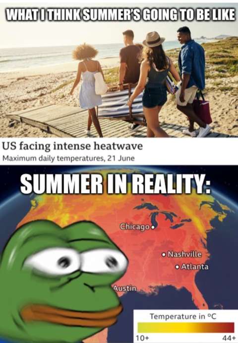 Meme: "What I think summer is going to be like" [teens walking on the beach]. "Summer in reality" [frog looking at a heat map of the U.S."