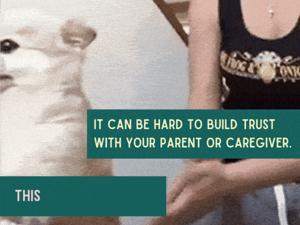 Dog falls into owners arms. it can be hard to build trust with your parent or caregiver. this quiz may help!